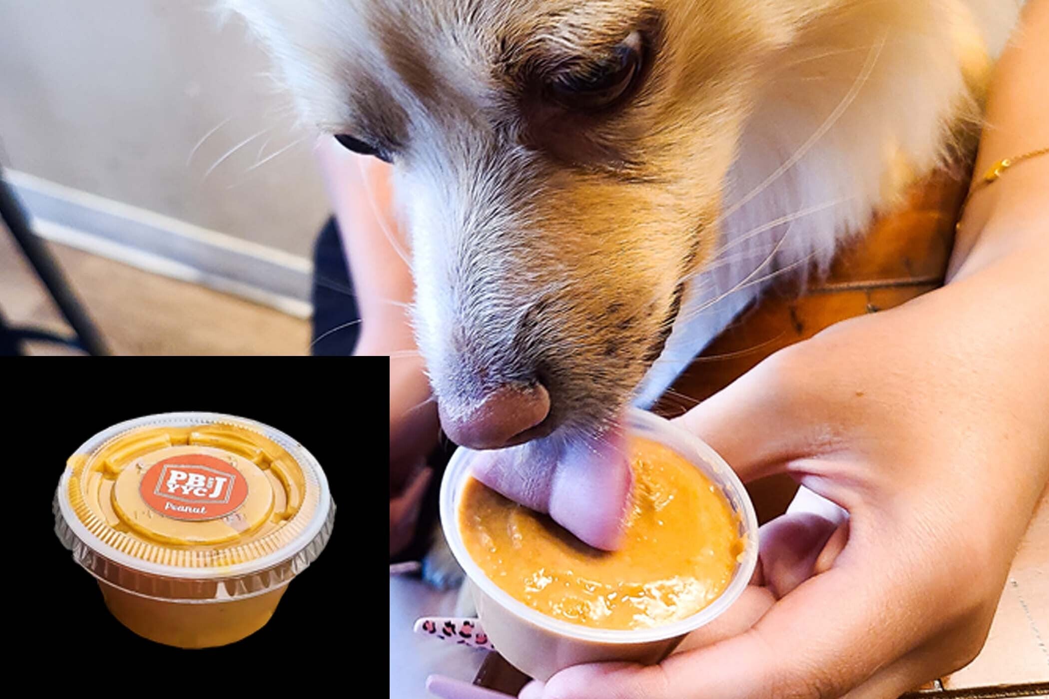 Peanut Butter for Dogs